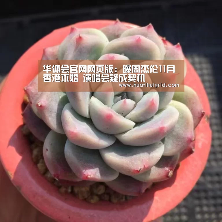 华体会官网网页版:曝周杰伦11月香港求婚 演唱会疑成契机(图2) 华体会官网网页版