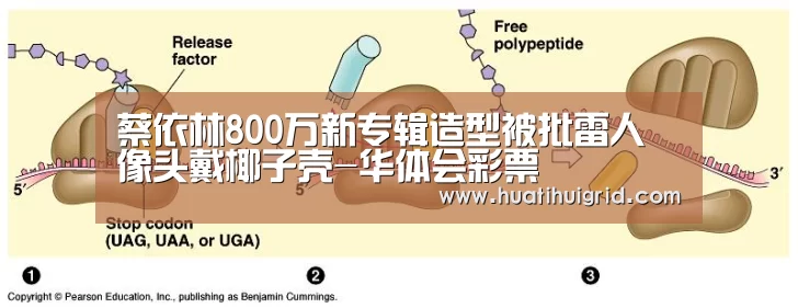 蔡依林800万新专辑造型被批雷人 像头戴椰子壳-华体会彩票(图2) 蔡依林800万新专辑造型被批雷人 像头戴椰子壳-华体会彩票(图2)